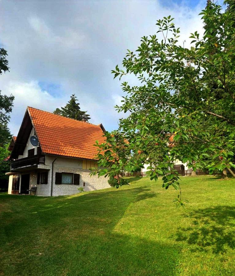 Kuca Za Odmor Zlatibor Villa Exterior photo